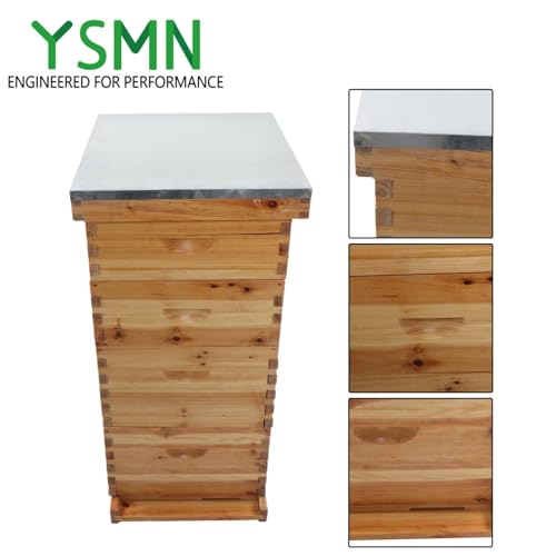 8 Frame Langstroth Bee Hive Coated with Beeswax Includes Beehive Frames and Waxed Foundations (2 Deep Boxes 2 Medium Boxes)