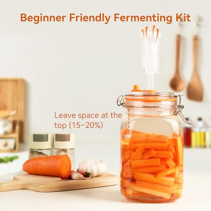 50 Oz Glass Fermentation Jars Kit - 2 Pack Kimchi Wide Mouth Fermenting Container with Airlocks, Sauerkraut Fermenter Making Set for Pickling Canning Sauce, Includes Recipes - size: 2 Pack 50 Oz