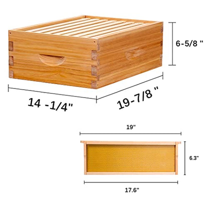 8-Frame Beehive Box Langstroth Medium Super Bee Box for Sale Wax Coated Bee Hives Includes Wooden Frames & Waxed Foundations - style: Assembled