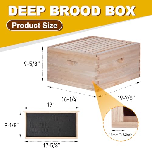 BeeCastle 10 Frame Deep Brood Bee Hive Box, Langstroth Honey Bee Hive Include Beehive Frames and Waxed Foundations (Unassembled) - size: 10 Frame