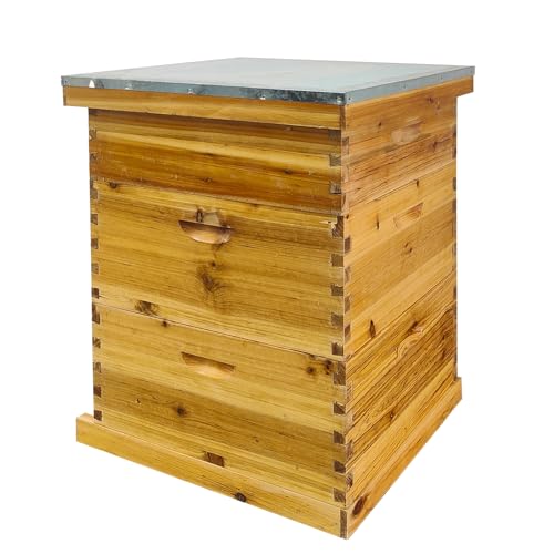 Beeswax Coated Bee Hive Starter Kit - 3 Layer Langstroth Beehive with 2 Deep & 1 Medium Super Boxes - Premium Wood Honey Bee House, Metal Top Cover & Queen Excluder (No Frames)