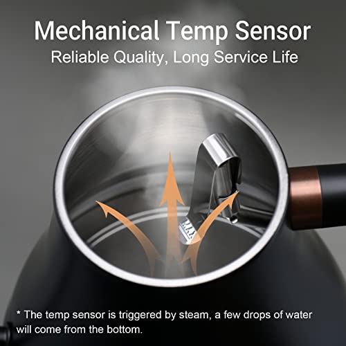 Mecity Electric Kettle Gooseneck Water Kettle Stainless Steel Tea Kettle Water Boiler Fast Heating, Auto Shut Off, 27 fl oz, 1000W, Matte Black - color: Black