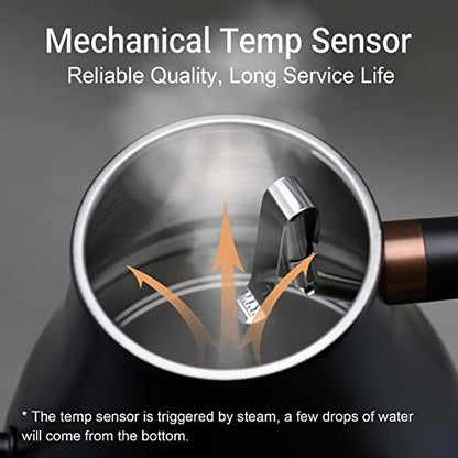 Mecity Electric Kettle Gooseneck Water Kettle Stainless Steel Tea Kettle Water Boiler Fast Heating, Auto Shut Off, 27 fl oz, 1000W, Matte Black - color: Black