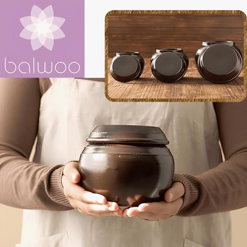 Earthenware Onggi Korean Traditional Clay Jar Mini Ceramic Canister/Handmade Food Sauce Storage Container for Tea, Coffee Bean, Salt/Breathing Clay Pot Kimchi Fermentation Crock (1L(34oz)) - size: 33.8 Ounces