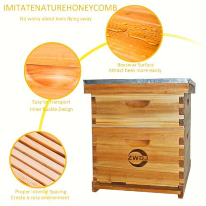 10-Frame Complete Beehive Kit, 2-Layer Langstroth Beehive with Full Beeswax-Coated Foundation Sheet, Complete Starter Beekeeping Kit for Beginners & Professional Beekeepers (2-Layer) - size: 2-Layer