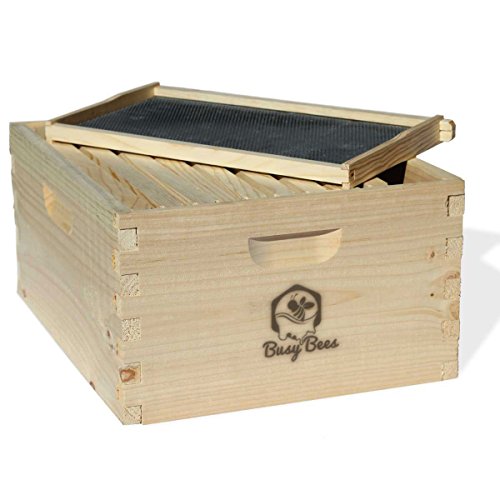 Amish Made in USA Complete Langstroth Bee Hive Includes Frames and Foundations (2 Deep, 1 Medium)