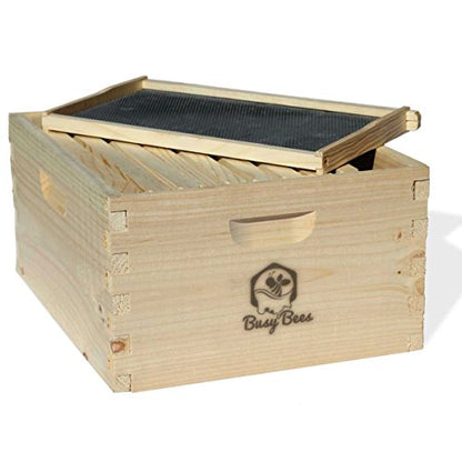 Amish Made in USA Complete Langstroth Bee Hive Includes Frames and Foundations (2 Deep, 1 Medium)