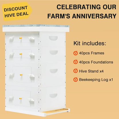 Painted Beehive with Windows Langstroth 10 Frame – 4-Layer Bee Hive Includes 20 Medium & 20 Deep Frames with Wax Foundations (2 Deep & 2 Medium Super Bee Box)