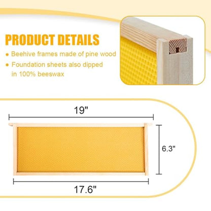 Frame Assembled Medium Bee Hive Super Box - Beeswax Coated Beehive Kit for Beekeepers, Includes 10 Wooden Frames and Waxed Foundations, Standard Langstroth Size