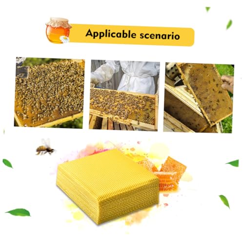 10pcs Beekeeping Equipment Beeswax Sheets Beehive Foundation Beehive Raising Tool