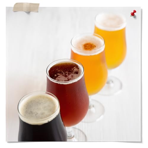 Fermentaholics Hydrometer Test Jar & Measuring Cylinder - Test Homebrewed Beer, Wine, Mead, Cider, & Fermented Beverages - size: 1 Pack