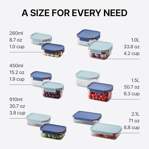 LocknLock Tritan Plastic Bisfree Modular Plus Food Storage Container Set, 4 set (2 containers & 2 Lids)- Mint - color: Mint, size: 4 set (2 containers & 2 Lids), 2100 ml