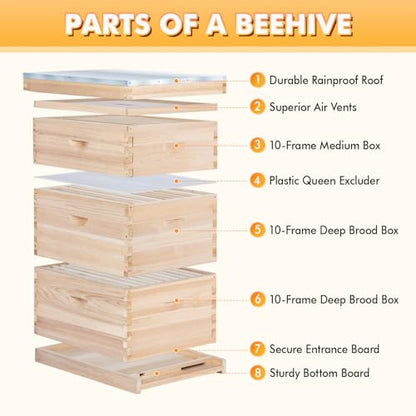 POLLIBEE Bee Hive,10 Frame Beehive Boxes Starter Kit, Langstroth Beehives Include 2 Deep Hive Boxes and 1 Medium Super Bee Box, Include Bee Hive Frames and Wax Foundation Sheets - size: 1 Super+2 Deep