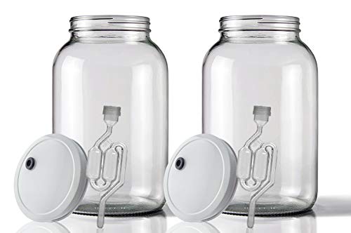 Home Brew Ohio Wide Mouth Jar 1 Gal w/Grommeted 110mm White Metal Cap and TwinBubble Airlock x2