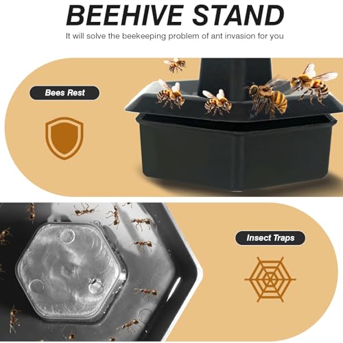 Painted Beehive with Windows Langstroth 10 Frame – 4-Layer Bee Hive Includes 20 Medium & 20 Deep Frames with Wax Foundations (2 Deep & 2 Medium Super Bee Box)