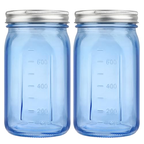 CARBLIN 2 Pack Mason Jars 32 oz, Blue Wide Mouth Canning Jars with Airtight Lids, Glass Pint Jars with Bands Labels Brush, Large Storage Quart Jars for Jam Fermenting Preserving - color: Blue