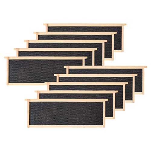 BeeCastle Medium Beehive Frames and Wax Foundations,10 Pack Honey Bee Frames with Wooden Bee Hive Frames and 100% Beeswax Coated Foundations, 6-1/4-Inch (Black) - size: 10-Pack