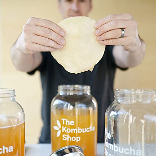 100% Organic SCOBY Kombucha Starter Kit - 100% Guaranteed to Brew - Fresh, Live Culture with Starter Liquid - The Kombucha Shop - size: 14 Ounce (Pack of 1)