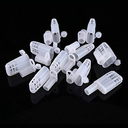 WALFRONT Queen Bee Cages 10pcs Set Plastic Isolator Rearing Cages with Large Opening Secure Clip for Beekeeping Rearing Tools Insectary Box