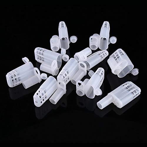 WALFRONT Queen Bee Cages 10pcs Set Plastic Isolator Rearing Cages with Large Opening Secure Clip for Beekeeping Rearing Tools Insectary Box