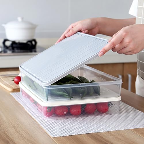 Plastic Airtight Dumpling Storage Box with Lid - Multiuse Cookie & Kimchi Container for Freezer/Refrigerator, Space-Saving White Rectangular Design