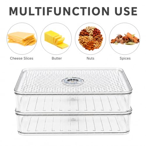 2 Layers Cheese Lunch Meat Storage Container for Fridge,Deli Food Storage Container with Lids,Refrigerator Organizers and Storage for Cheese,Cold Cuts, Bacon,Ham,Sandwich Meat Keeper