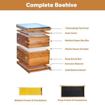 10 Frame Bee Box, Wax Coated Bee Hives with Beehives Frames and Wax Foundations, Langstroth Honey Super for Beekeeping Supplement (Unassembled) - style: with Window 1 deep box+1 medium box