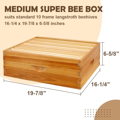10 Frame Bee Hive Box, Langstroth Medium Super Bee Box Dipped in 100% Beeswax Include Beehive Frames and Waxed Foundation Sheets (Unassembled) - size: Medium Box