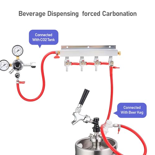 4-Way Gas Manifold CO2 Distributor Manifold 5/16 inch Barb/Stem Splitter Beer Integrated Check Valves Homebrew Beer Making Brewing Tool-CO2 gas input at LEFT side+5CLAMPS - color: 4WAY,GAS INPUT AT LEFT
