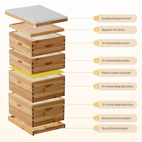 10-Frame Langstroth Bee Hive Coated with 100% Beeswax Includes Beehive Frames and Foundations (2 Deep Boxes & 2 Medium Boxes) - size: 4 Layer