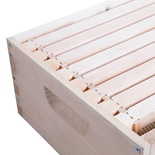 Lehman's Stoney Acres Beekeeping Beehive Box, 8 Frame Medium Assembled Super or Brood Honeybee Hive Box with Plastic Foundation Frames, Amish Made