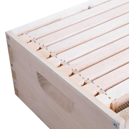 Lehman's Stoney Acres Beekeeping Beehive Box, 8 Frame Medium Assembled Super or Brood Honeybee Hive Box with Plastic Foundation Frames, Amish Made