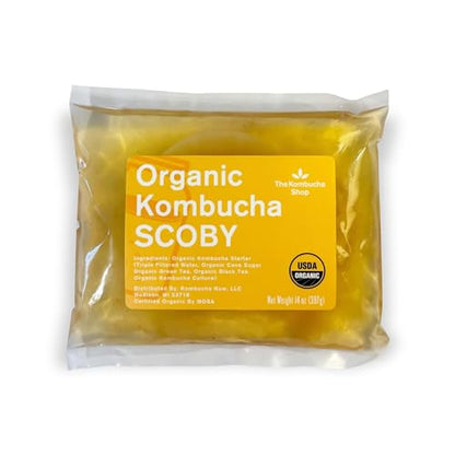 100% Organic SCOBY Kombucha Starter Kit - 100% Guaranteed to Brew - Fresh, Live Culture with Starter Liquid - The Kombucha Shop - size: 14 Ounce (Pack of 1)