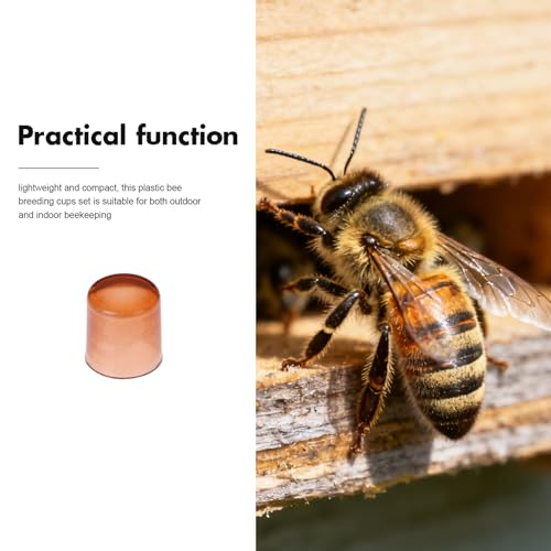 GALPADA 2000pcs Queen Rearing Cups and Mini Hive Plastic Incubator Set for Beekeeping Cell Cultivation with Bee Queen Grafting Tools, 0.4 Inch Breeding Kit for Apiary Management