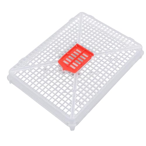 Plastic Bee Queen Cage Beekeeping Tool, Beekeeping Cage for Artificial Swarming Introduction of Queens for Bee Isolation 6 PCS