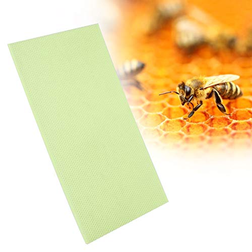 10 Pack Green Plastic Beehive Foundation Sheets - Beeswax Coated Honeycomb Base for Beekeeping Frames