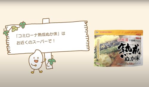 A ready-to-use aged Japanese Nukadoko fermentation rice bran starter for making Japanese probiotic pickles (tsukemono, nukazuke)