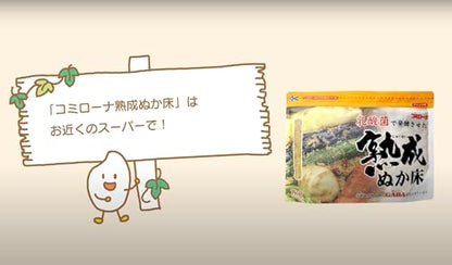 A ready-to-use aged Japanese Nukadoko fermentation rice bran starter for making Japanese probiotic pickles (tsukemono, nukazuke)