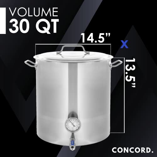 CONCORD Stainless Steel 30 QT Home Brew Kettle Stock Pot + CONCORD 12" THE BLOCK BURNER in Stainless Steel, 100,000 BTU Single Propane Stove