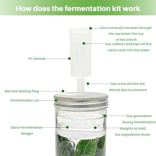 Fermentation Kit for Wide Mouth Mason Jars,Fermentation Kit with 4 Glass Fermentation Weights,4 Fermenting Lids,4 airlocks,5 Silicone Rings,5 Silicone Grommet for Pickling, Canning and Sauce(No Jars)