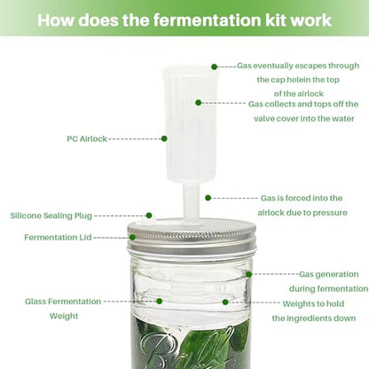 Fermentation Kit for Wide Mouth Mason Jars,Fermentation Kit with 4 Glass Fermentation Weights,4 Fermenting Lids,4 airlocks,5 Silicone Rings,5 Silicone Grommet for Pickling, Canning and Sauce(No Jars)