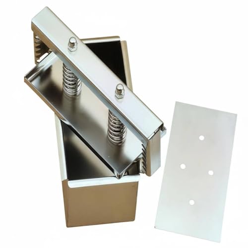 Stainless Steel Food Press Meat Shaping Tool Spring Compression Plate Effortless Cleaning Suitable for Kitchen Cooking Professional Use, 2KG, Removable Bottom - size: 2KG, style: Removable Bottom