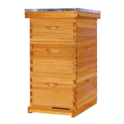 POLLIBEE 8 Frame Beehive Starter kit, Beeswax Coated Hive for Beekeeper, Langstroth Bee Hives Include 2 Deep and 1 Medium Bee Box with Bee Frames and Foundations(Unassembled) - size: 8 Frame-3L