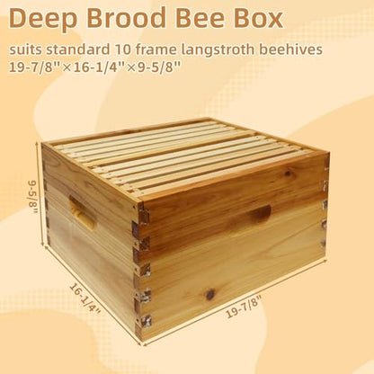 10 Frame Langstroth Bee Hive Beeswax Coated Includes Beehive Frames and Foundations (2 Deep Boxes & 2 Medium Boxes)