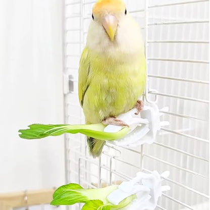 10 Pieces Millet Holder for Bird Cages, White Plastic Fruit, Vegetable, Snacks Food Feeder Clips Cuttlebone Holder for Small Bird Parrot Parakeet Budgie Cockatiel Conure Cockatoo Macaw Cage Accessorie - color: White