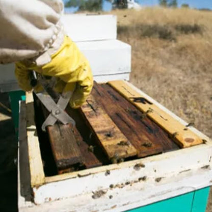Ergonomic Frame Holder with Comfortable Grip for Stable During Apiary Tasks Claws Fixation Frame Tool
