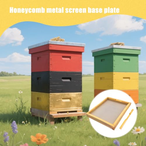 2 Pcs 10 Frame Beehive Screened Bottom Board Dipped in Beeswax with Entrance Reducer,Screen Bottom Board with Solid Wood for Beekeeping Supplies