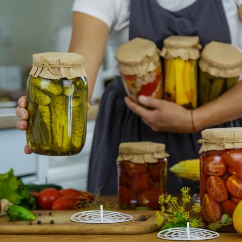 10 Set Fermenting Spring Weight and Plastic Press 4" Diameter Fermenting Jar Mesh Presser Wide Mouth Pickle Can Press Mesh for Canning Pickling Fermentation