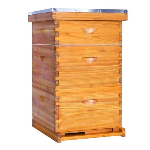Honey Lake 10-Frame Langstroth Beehive Starter Kit, Beeswax Coated Complete Bee Hive Includes 2 Deep Brood Boxes and 1 Medium Super Bee Boxes with Beehive Frames and Foundations (3 Layer)
