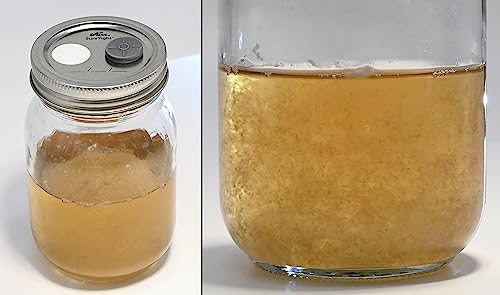 Root Mushroom Farm-6Pcs Regular Mouth Mushroom Liquid Culture Lids, Mason Jar Lid with large air exchange opening(13mm), 0.22um PTFE Filte r& 20mm Self Healing Injection Port - style: Regular Mouth Jar Lids